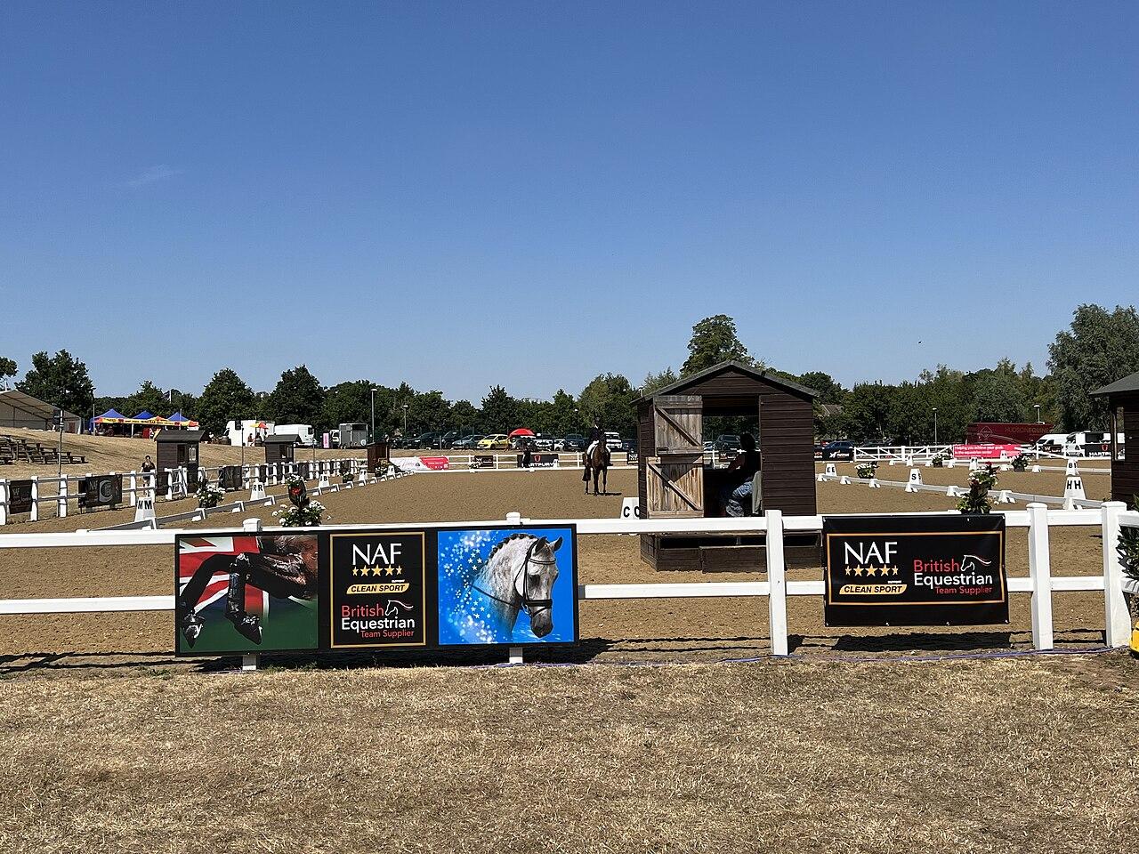 马术新赛季前瞻:格局变化与潜在黑马(数据科技视角)